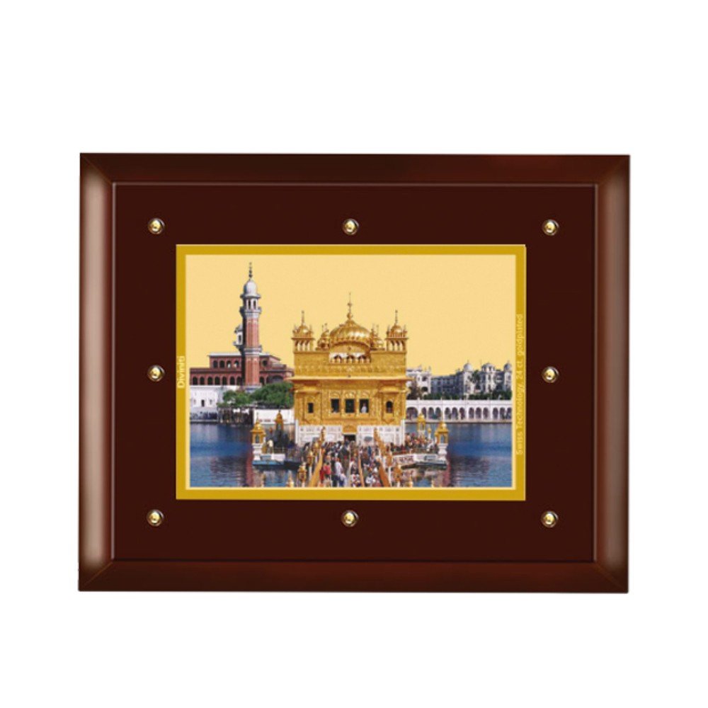 24K GOLD PLATED MDF FRAME SIZE 5 CLASSIC COLOR GOLDEN TEMPLE